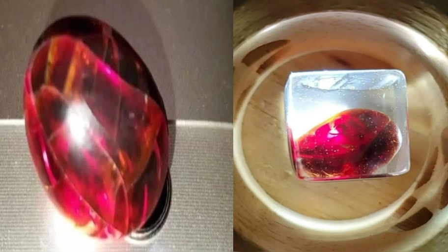 20 साल पहले लड़की उबला अंडा रखकर भूल गई; अब दिखता है ऐसा, तस्वीरें वायरल