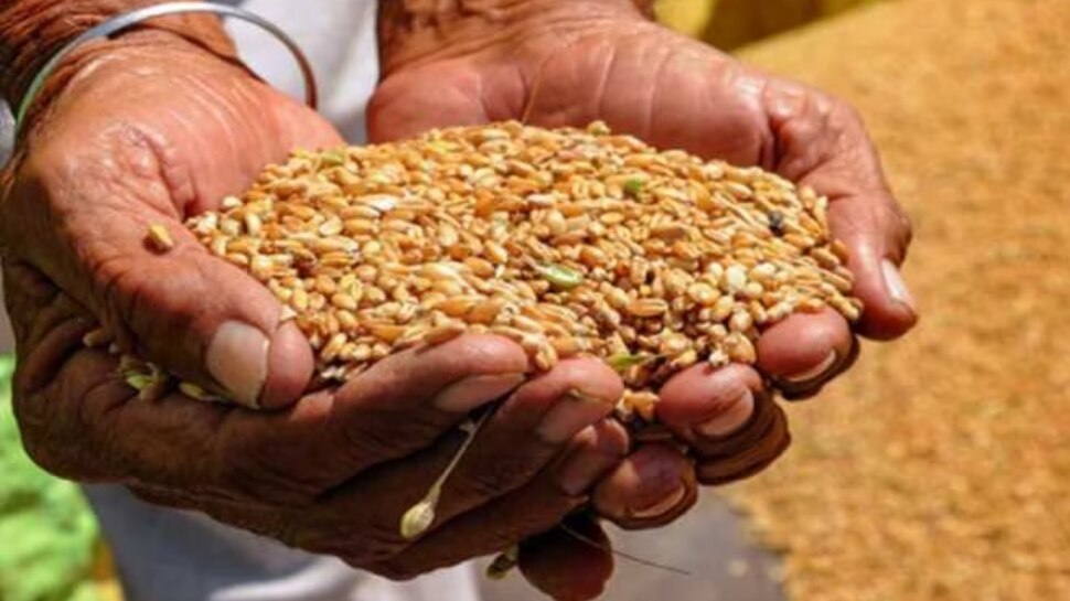 Free ration now ration card holder will get proper wheat and rice ...
