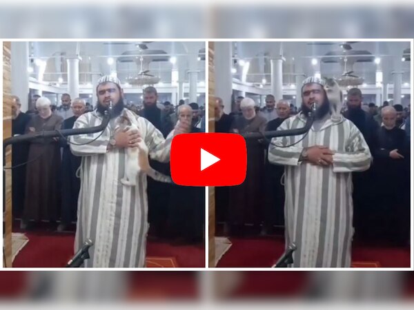 Ramazan Imam and Cat: तरावीह पढ़ा रहे मौलाना पर चढ़ी बिल्ली, जानें क्या है वीडियो की हकीकत