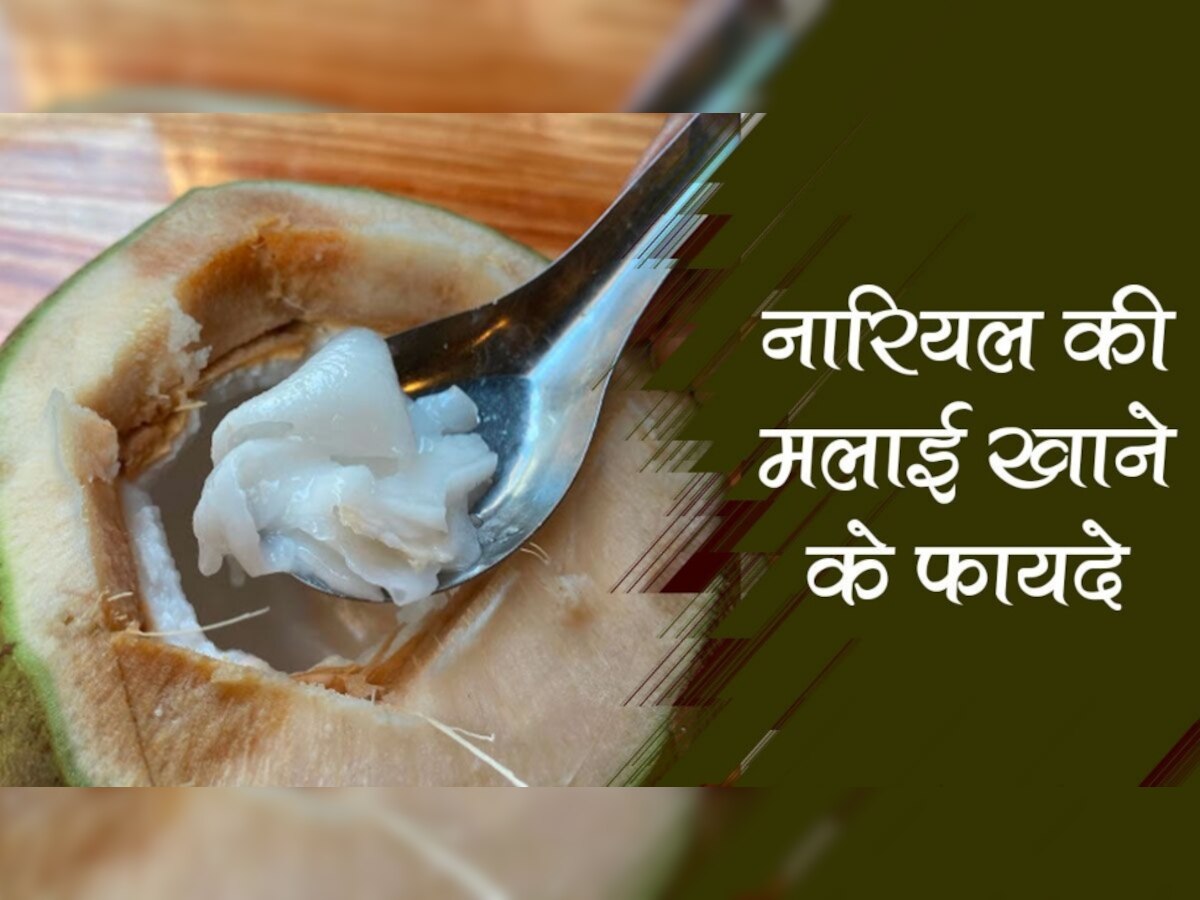 Healthy Sweet: पेट की सेहत को दुरुस्त बनाए रखती है कोकोनट मलाई, इस तरह से टेस्टी डिश बनाएं