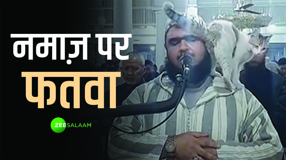 Cat Jumped on Imam: बिल्ली के चाटने से इमाम साहब की नमाज़ और वजू टूट गई? आ गया फतवा Cat Jumped on Imam: बिल्ली के चाटने से इमाम साहब की नमाज़ और वजू टूट गई? आ गया फतवा