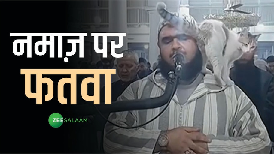 Cat Jumped on Imam: बिल्ली के चाटने से इमाम साहब की नमाज़ और वजू टूट गई? आ गया फतवा