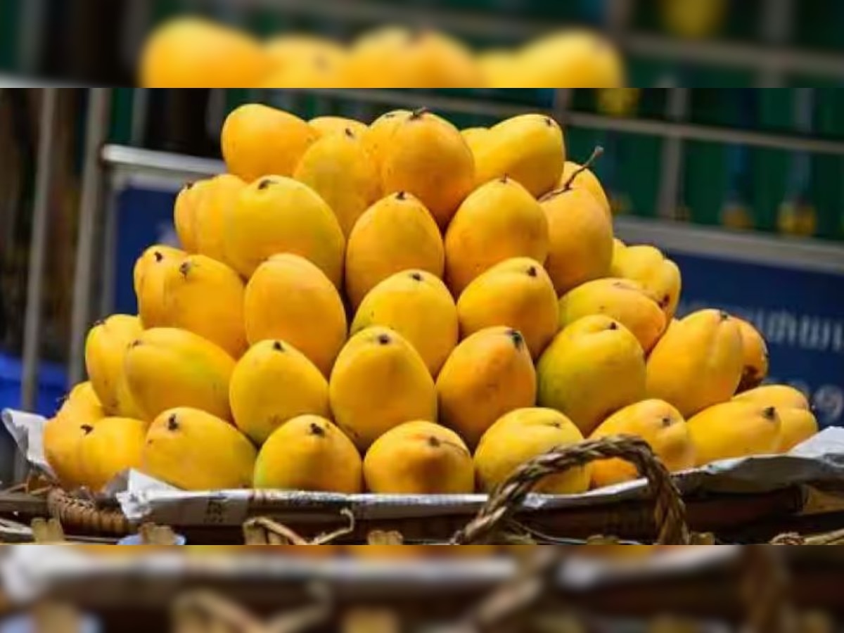 Mango Price