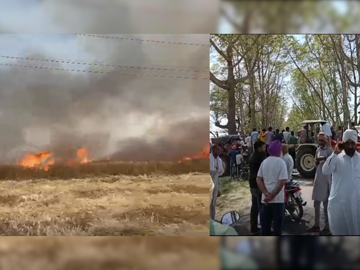 Fatehabad: 25-30 एकड़ गेंहू की फसल में लगी भीषण आग, HV तारों से हुई स्पार्किंग, किसानों ने की मुआवजे की मांग 