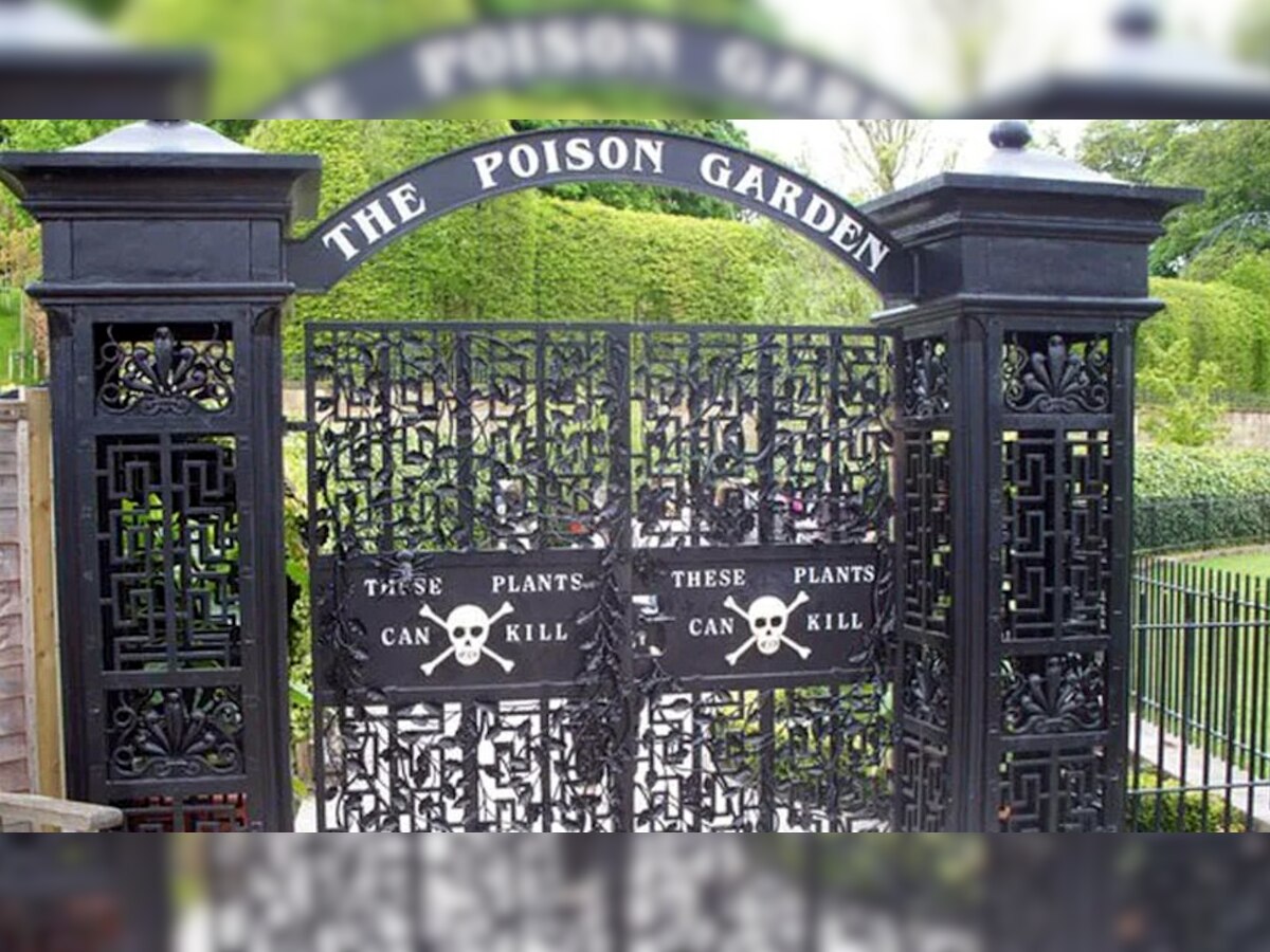 भूल से भी इस गार्डन में न जाएं! दुनिया के सबसे जहरीले बगीचे में सांस लेते ही हो सकती है मौत