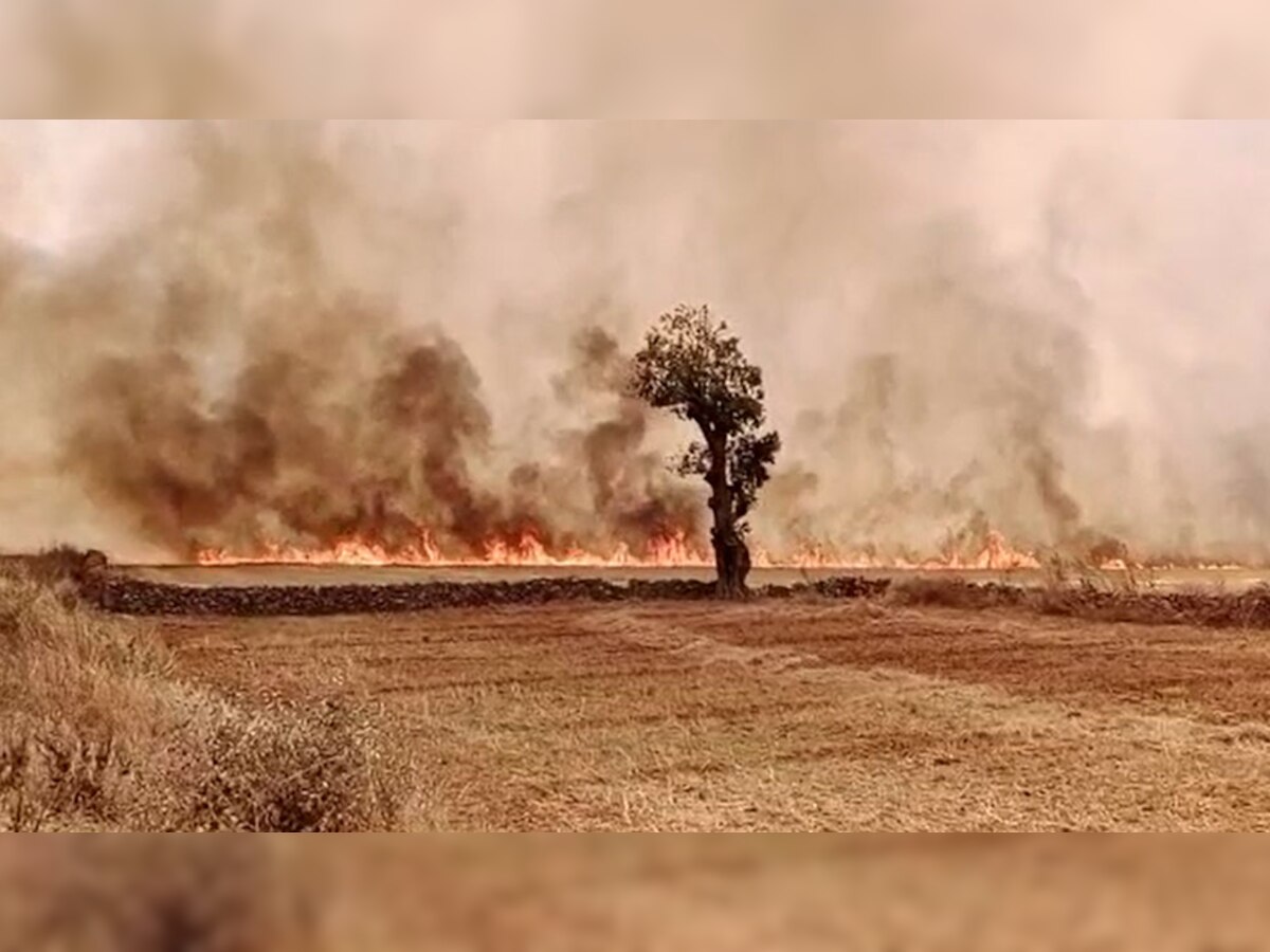 Baran: किशनगंज के खेतों की नौलाईयों में आग ने मचाया तांडव, पशु चारे को लेकर बढ़ी चिंता