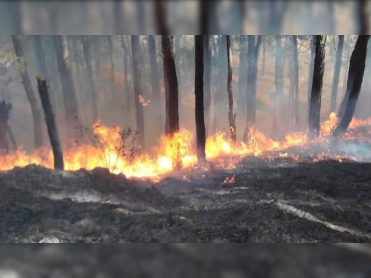 Uttarakhand Fire 