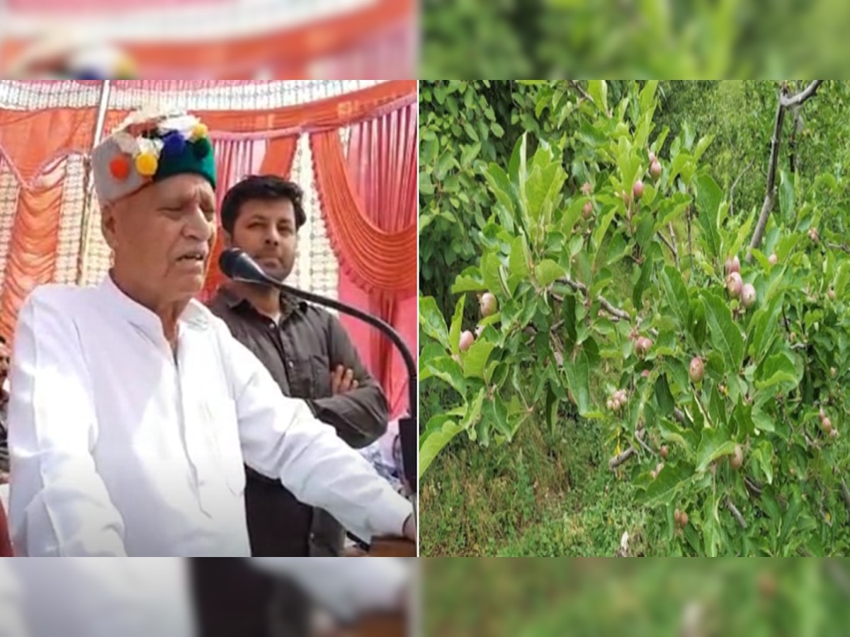 Himachal Pradesh News: अब किसानों और बागवानों को मिलेगा उनकी फसल का उचित मूल्य