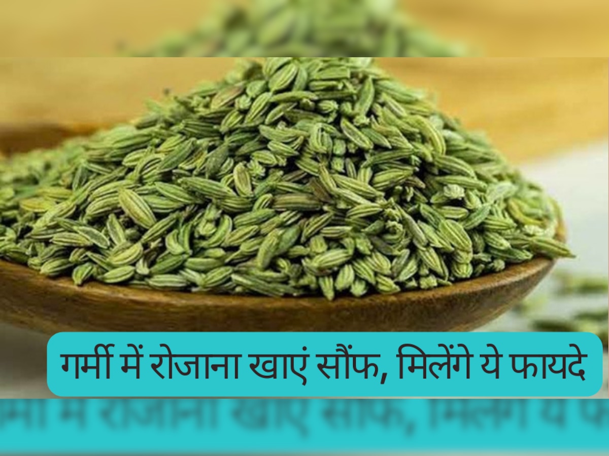 Fennel Seeds: गर्मी के मौसम में जरूर खाएं सौंफ, बॉडी को मिलेंगे अद्भुत फायदे