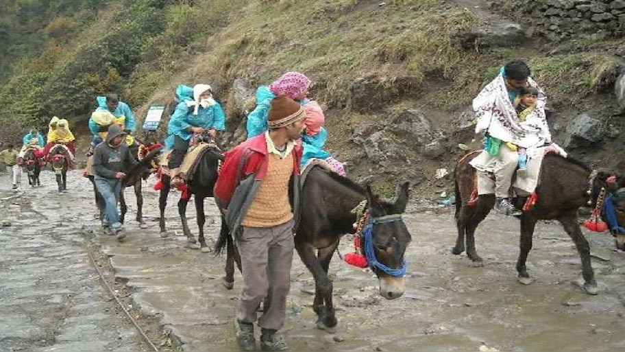 चारधाम यात्रा 2023: घोड़े-खच्चर और डंडी-कंडी संचालकों के होंगे लाइसेंस निरस्त, इसलिए होगी कार्यवाई