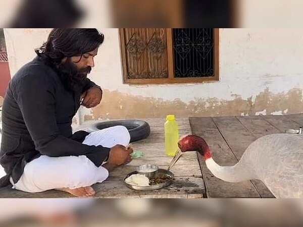 Arif and Saras: सारस से मिलने के बाद भावुक हुए आरिफ, कही ये बातें