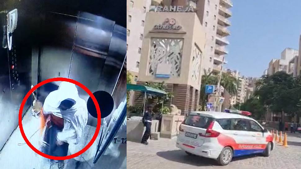 Gurugram Crime Pug breed vodafone dog thrashed by house maid in lift