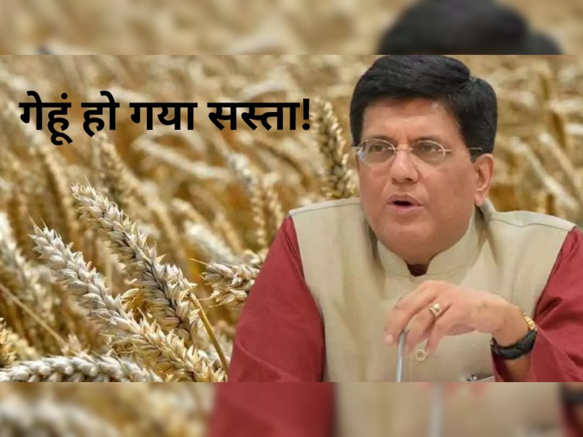 Wheat Price: केंद्र सरकार ने लिया ऐसा फैसला, सस्ता हो गया गेहूं! पीयूष गोयल ने दी जानकारी