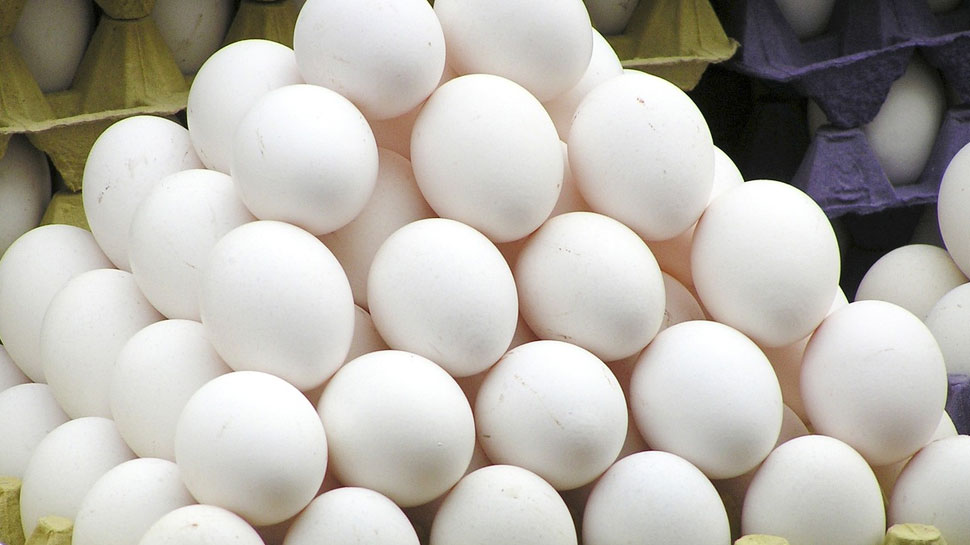 Egg Business: बाजार में धड़ल्‍ले से ब‍िक रहे नकली अंडे, आप भी इस तरह करें असली-नकली की पहचान