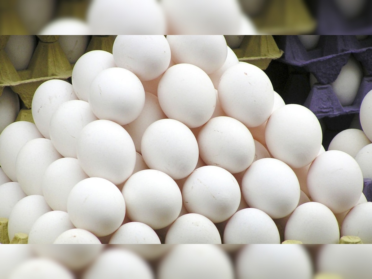 Egg Business: बाजार में धड़ल्‍ले से ब‍िक रहे नकली अंडे, आप भी इस तरह करें असली-नकली की पहचान