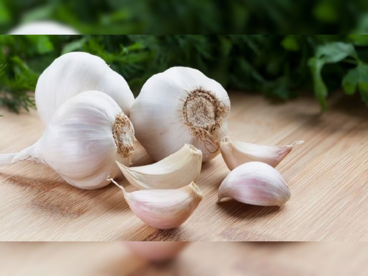 Garlic Benefits: गुनगुने पानी के साथ इस समय खा लें दो कलियां, हेल्थ के लिए रामबाण है ये उपाय, फायदे जान हो जाएंगे हैरान