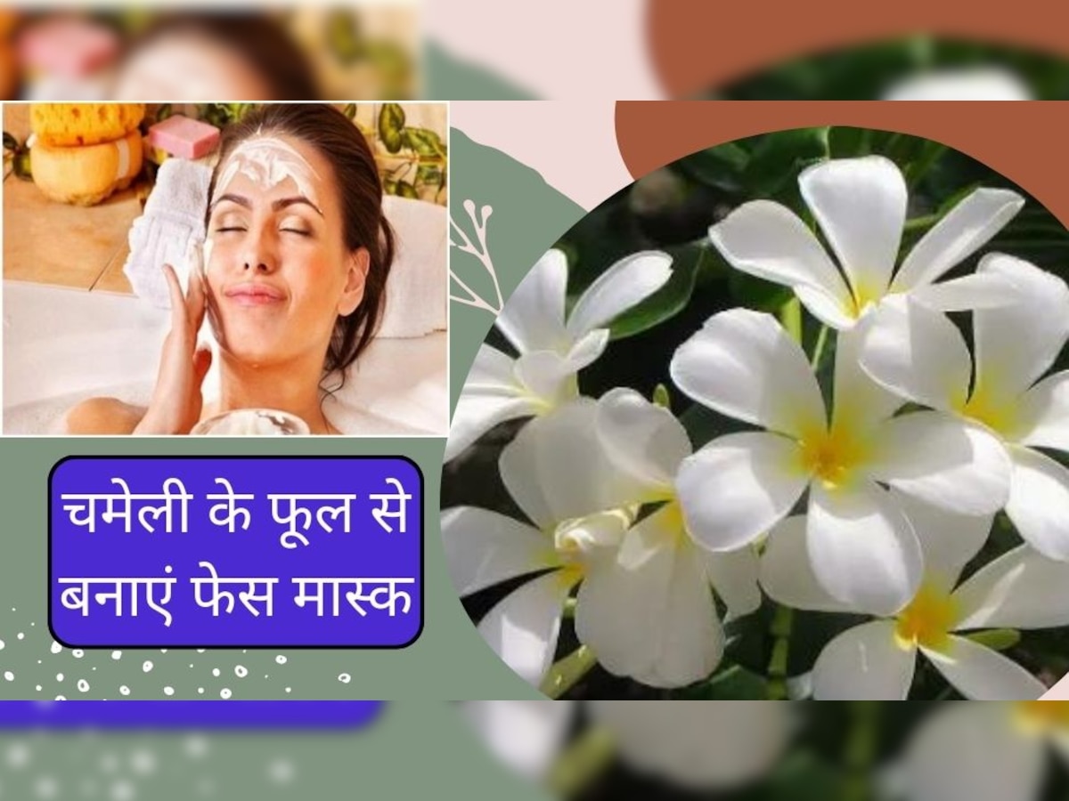 Glowing Skin Tips: महंगी क्रीम छोड़िए...अब चमेली के फूल बढ़ाएंगे आपके चेहरे का ग्लो, ऐसे बनाएं ये फेस पैक