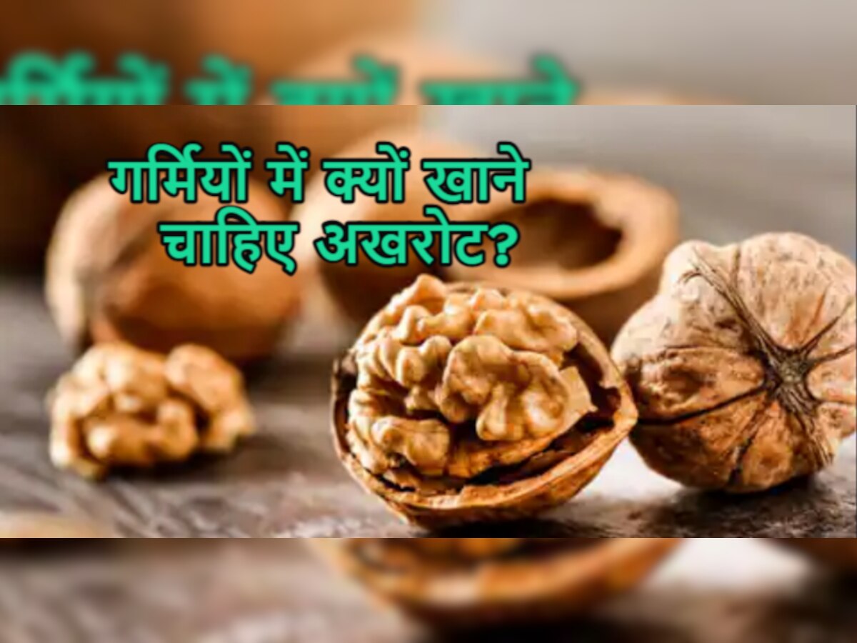 Dry Fruits In Summers: क्या गर्मियों में खाना चाहिए अखरोट? जानें किस तरह करना है डाइट में शामिल 