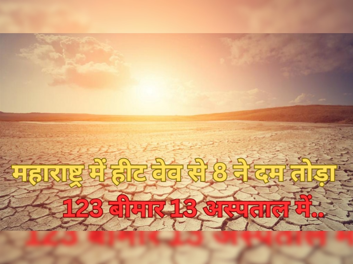 Heat Wave: महाराष्ट्र में हीट वेव से 8 ने दम तोड़ा, 123 बीमार पड़े, 13 को अस्पताल में भर्ती कराया गया