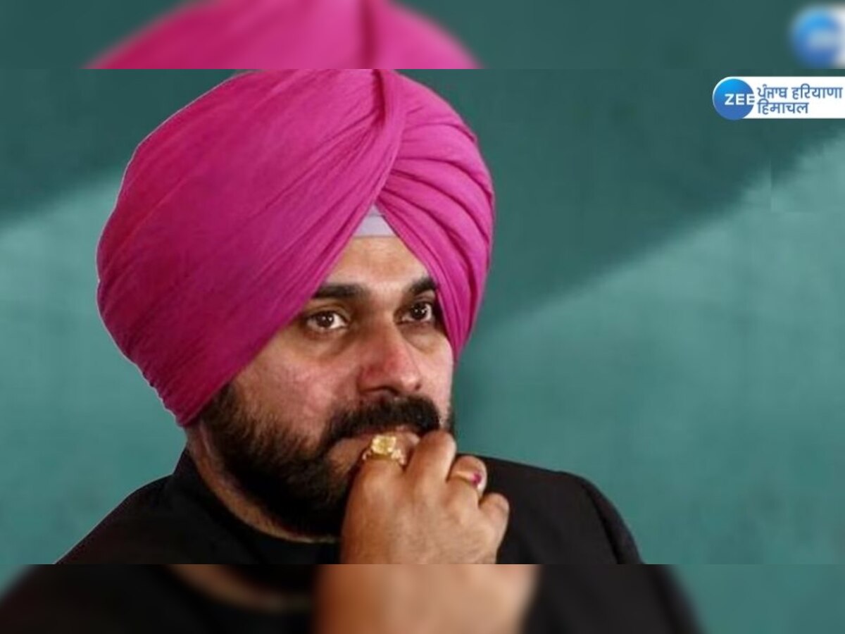 Navjot Singh Sidhu News: ਨਵਜੋਤ ਸਿੱਧੂ ਦੇ ਘਰ ਦੀ ਛੱਤ 'ਤੇ ਨਜ਼ਰ ਆਇਆ ਅਣਪਛਾਤਾ ਵਿਅਕਤੀ, ਪਤਨੀ ਨੇ ਜਤਾਈ ਚਿੰਤਾ!