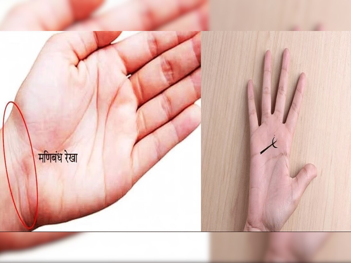 Palmistry : भाग्य लेकर पैदा होते हैं ये लोग, मिलता है राजयोग, हथेली पर ये चिह्न है पहचान