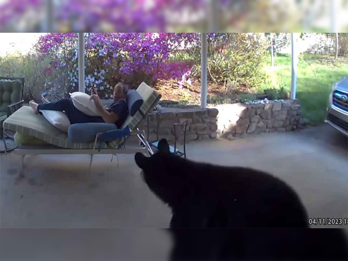 Viral Video: घर में बैठे आराम फरमा रहे थे यह शख्स, तभी वहां आ गया भालू और फिर...