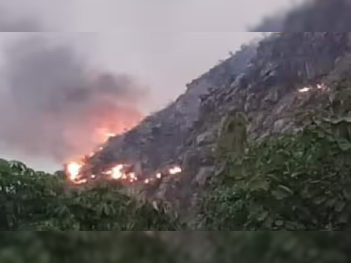 Rajgir Mountain Fire Broke Out: राजगीर के वैभारगिरि पर्वत पर लगी भयानक आग, दुर्लभ जड़ी-बूटियों के नष्ट होने का खतरा
