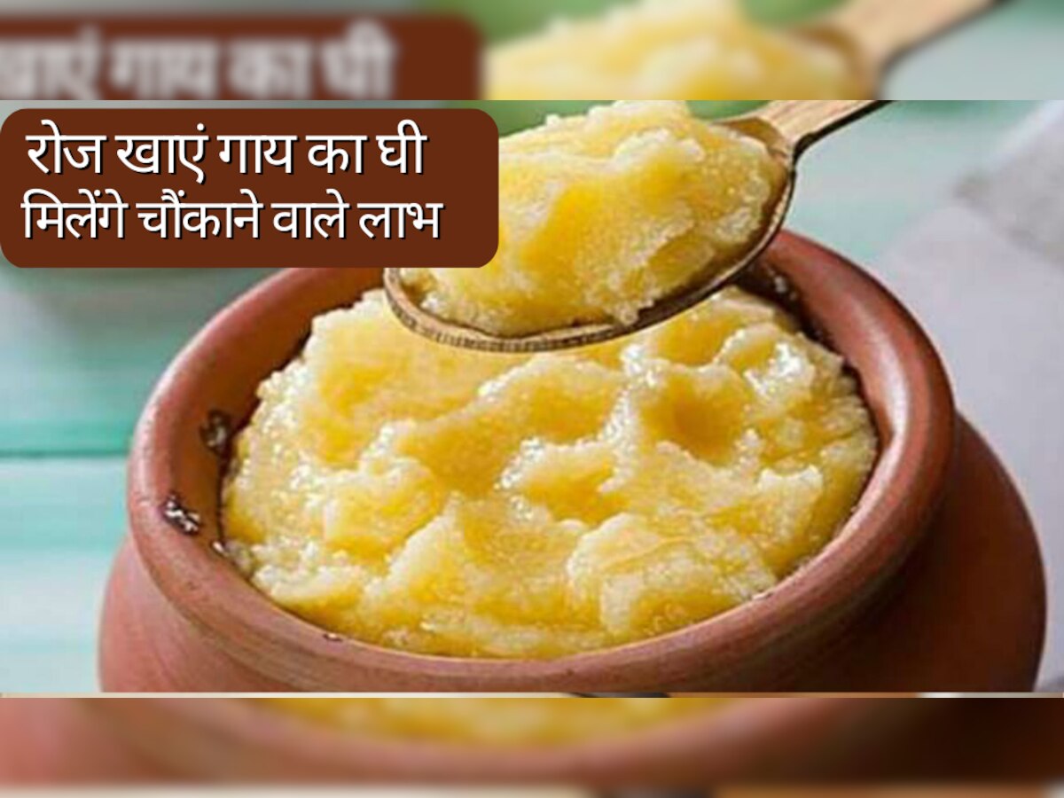 Cow Ghee: रोजाना गाय का घी खाने के वजन होता है कम, बॉडी को मिलते हैं अनगिनत फायदे