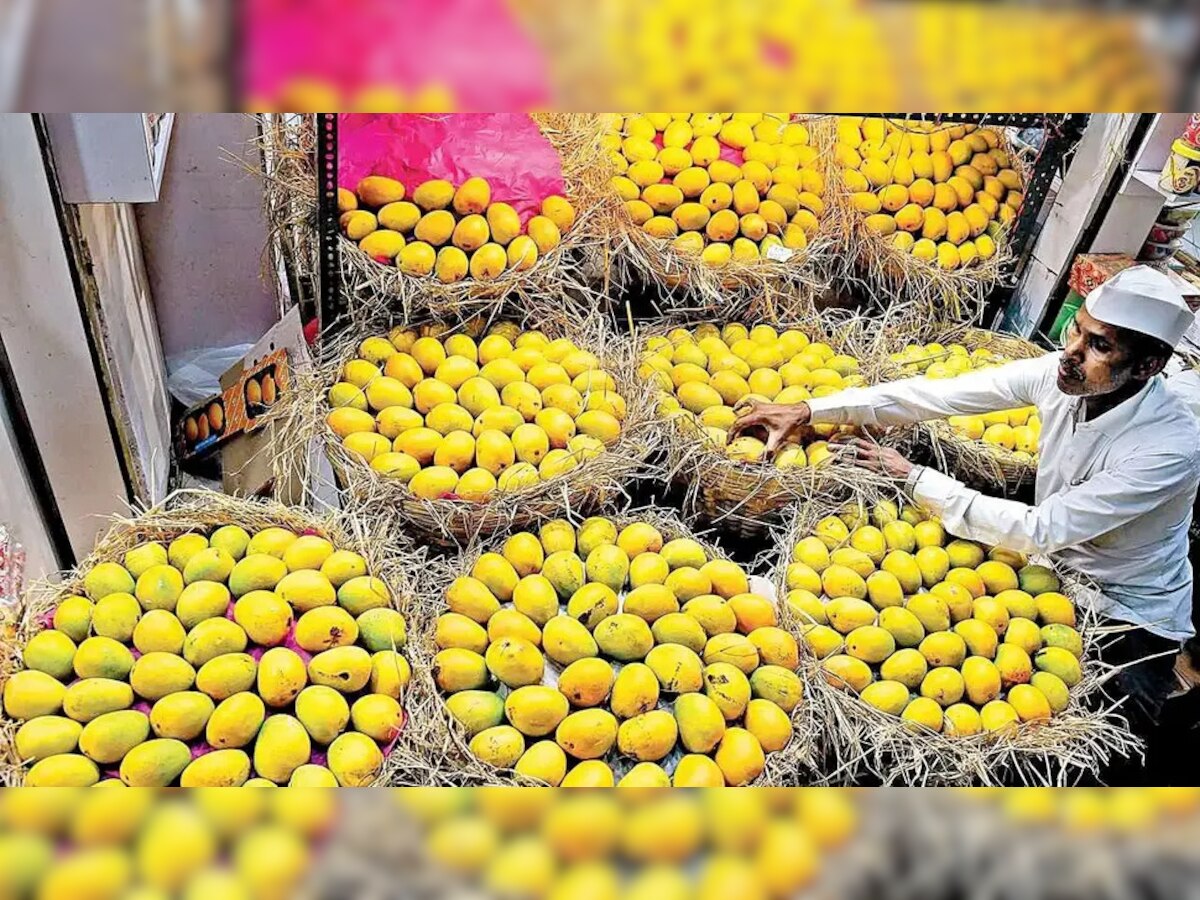 Mango Variety: ଏହି ୧୦ ପ୍ରକାରର ଆମ୍ବ ହେଉଛି ଖୁବ ସ୍ୱାଦିଷ୍ଟ, ଗ୍ରୀଷ୍ମ ଋତୁରେ ନିଅନ୍ତୁ ଏହାର ମଜା 