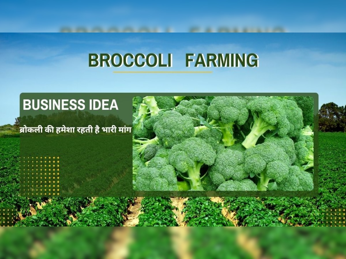 Business Idea: कैंसर से बचाती है ये सब्जी तभी रहती है इसकी भारी डिमांड, इसकी खेती साबित होगी फायदे का सौदा