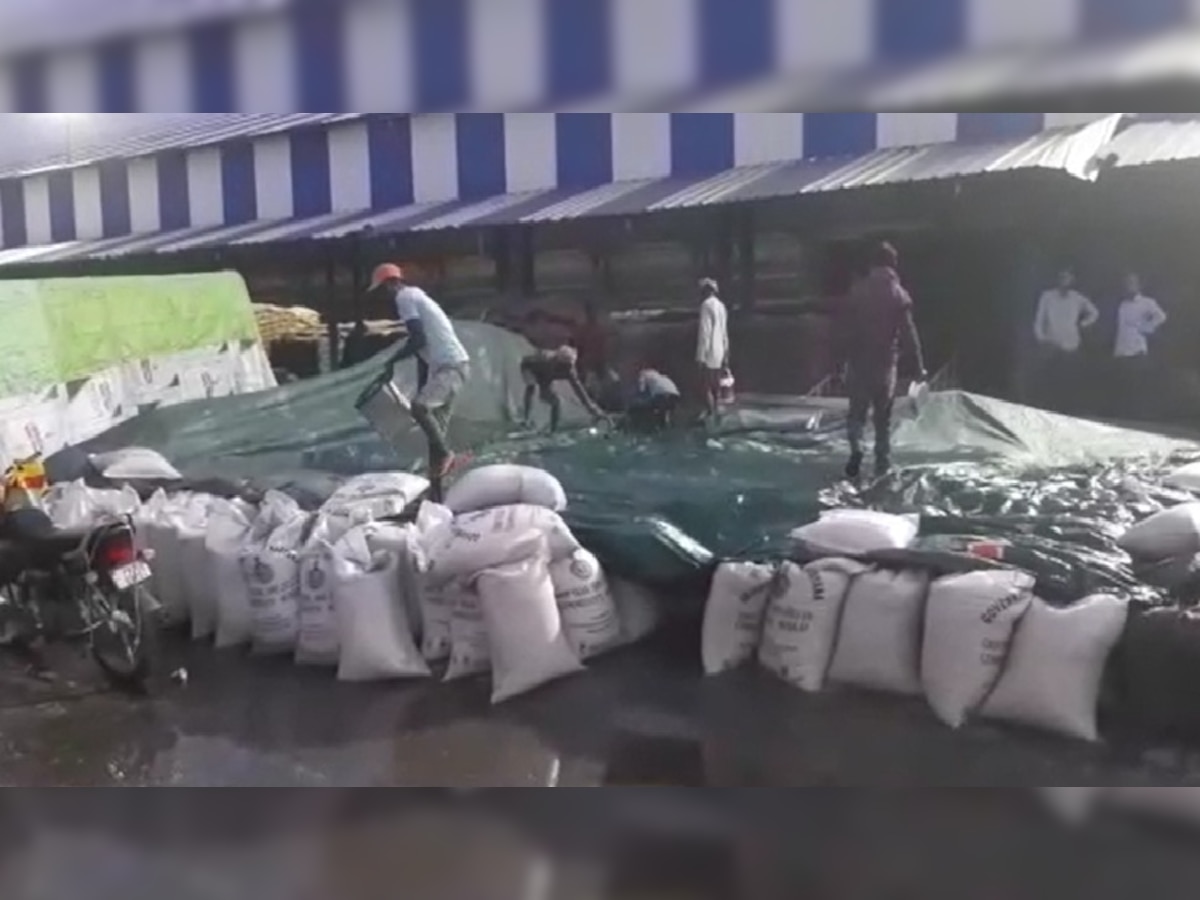 Yamunanagar Farmer News: बारिश ने धोए किसानों के अरमान, मंडी प्रशासन पर लापरवाही का आरोप