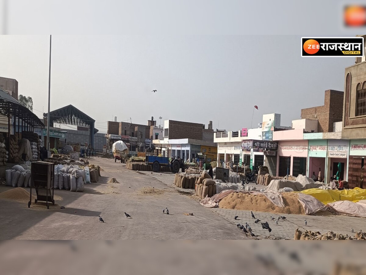 श्रीगंगानगर: अनूपगढ़ की नई धान मंडी आज से अनिश्चितकालीन बंद,ये है व्यापारियों और किसानों की मांग