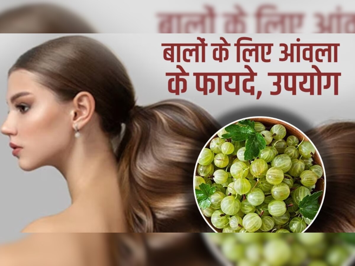 Hair Growth Solution: बालों की ग्रोथ को बढ़ावा देता है आंवला रस, बस इस तरह से करें हेयर मसाज