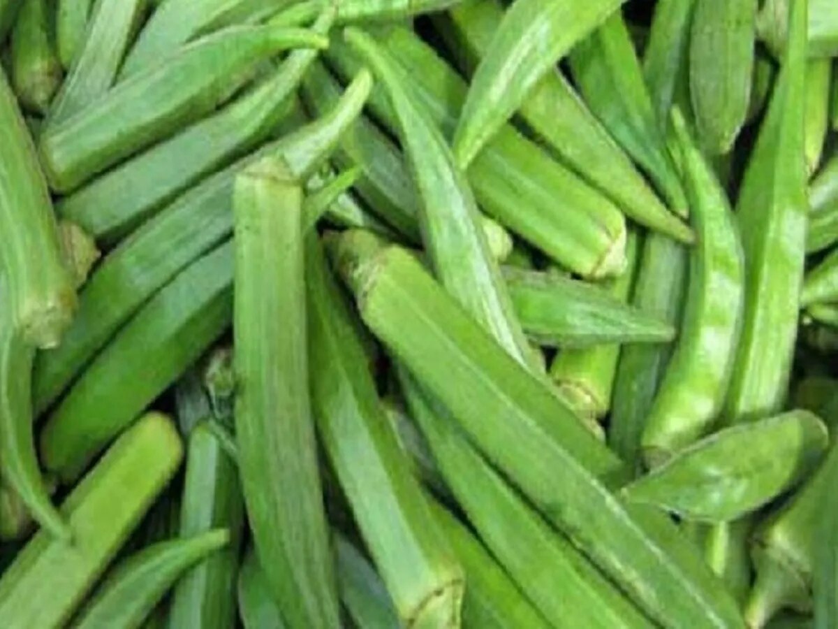 Lady Finger Benefits Bhendi Ra Labha Add The Bhindi Benefit To Your