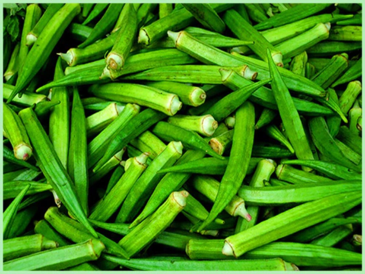 Lady Finger Benefits Bhendi Ra Labha Add The Bhindi Benefit To Your