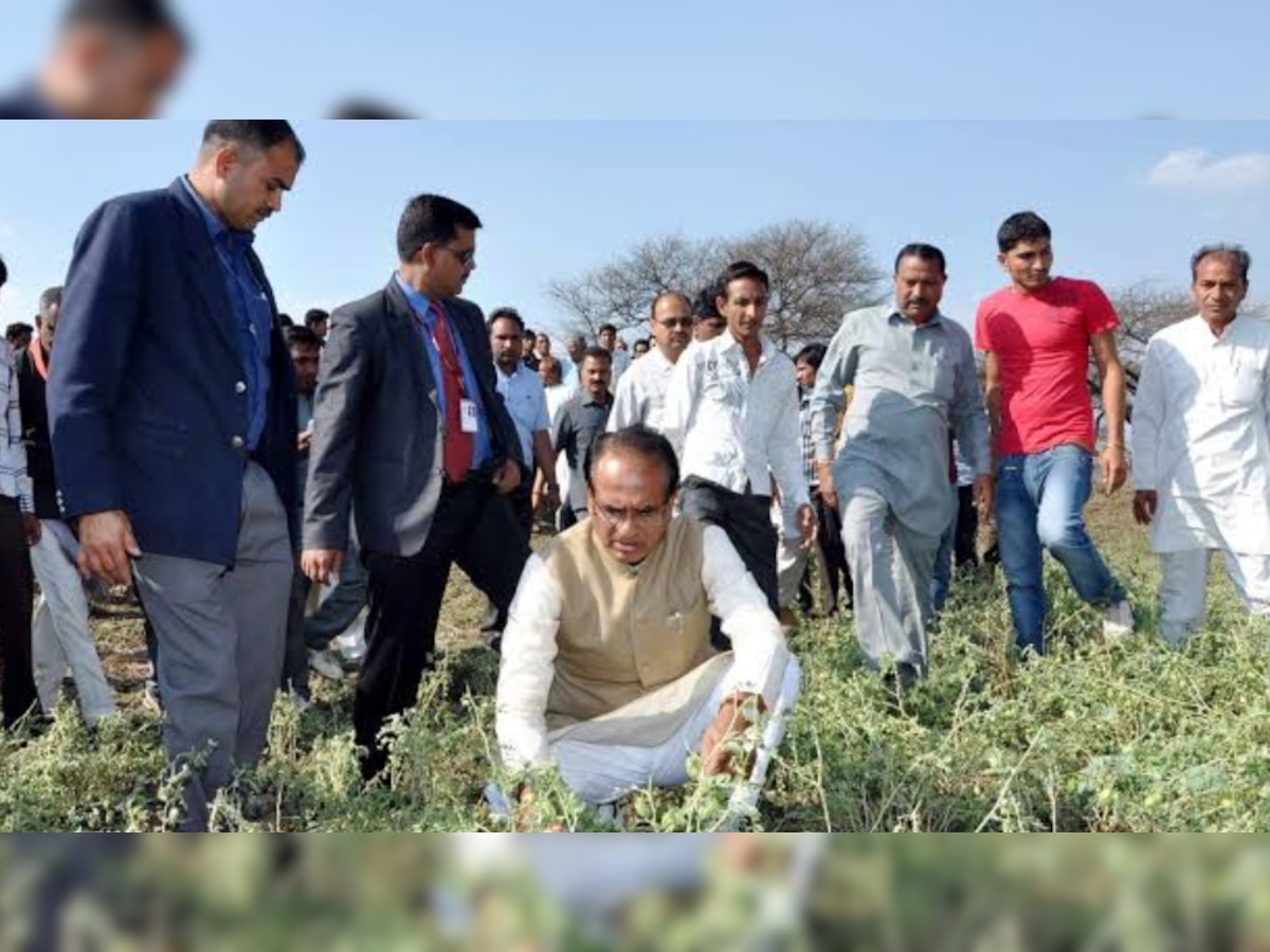 Agriculture News: बदल जाएगी किसानों की किस्मत, इस कानून में संशोधन करेगी शिवराज सरकार