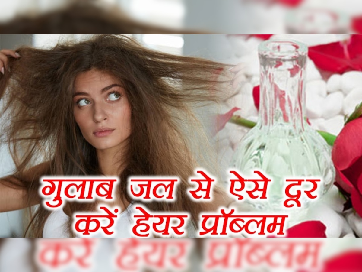 Summer Hair Care: बालों में आएगी शाइन और सॉफ्टनेस, बस इस तरह से लगा लें गुलाब जल