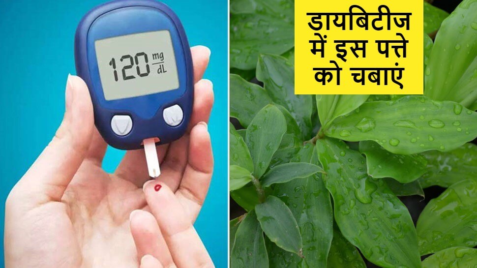 Chewing Insulin Plant For Type 2 Diabetes Patient Will Control blood