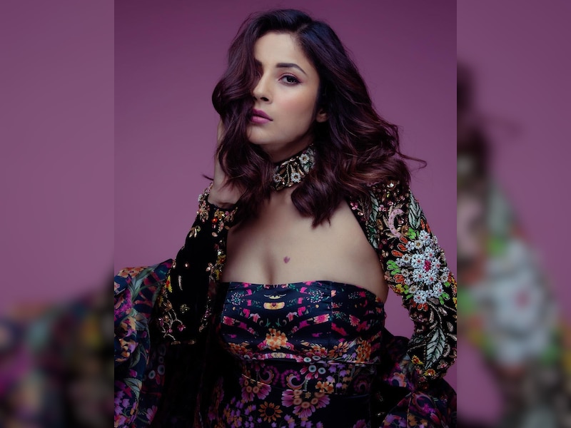 बहुत ही गॉर्जियस लग रही हैं शहनाज़