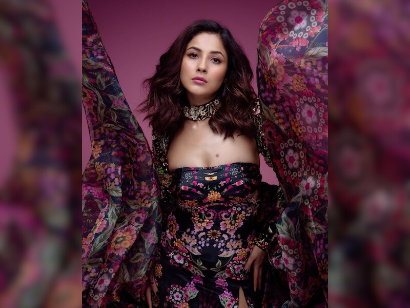 शहनाज़ ने बढ़ाई फैंस की हार्टबीट