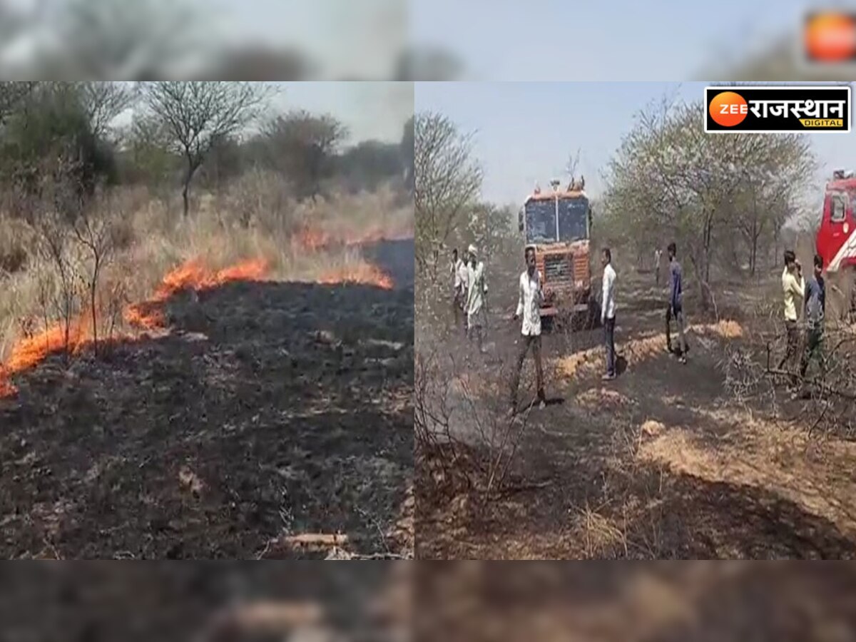  Nagaur news: गर्मी का तांडव, बल्दू वन क्षेत्र के 200 बीघा में लगी आग,  25% पौधे जलकर राख