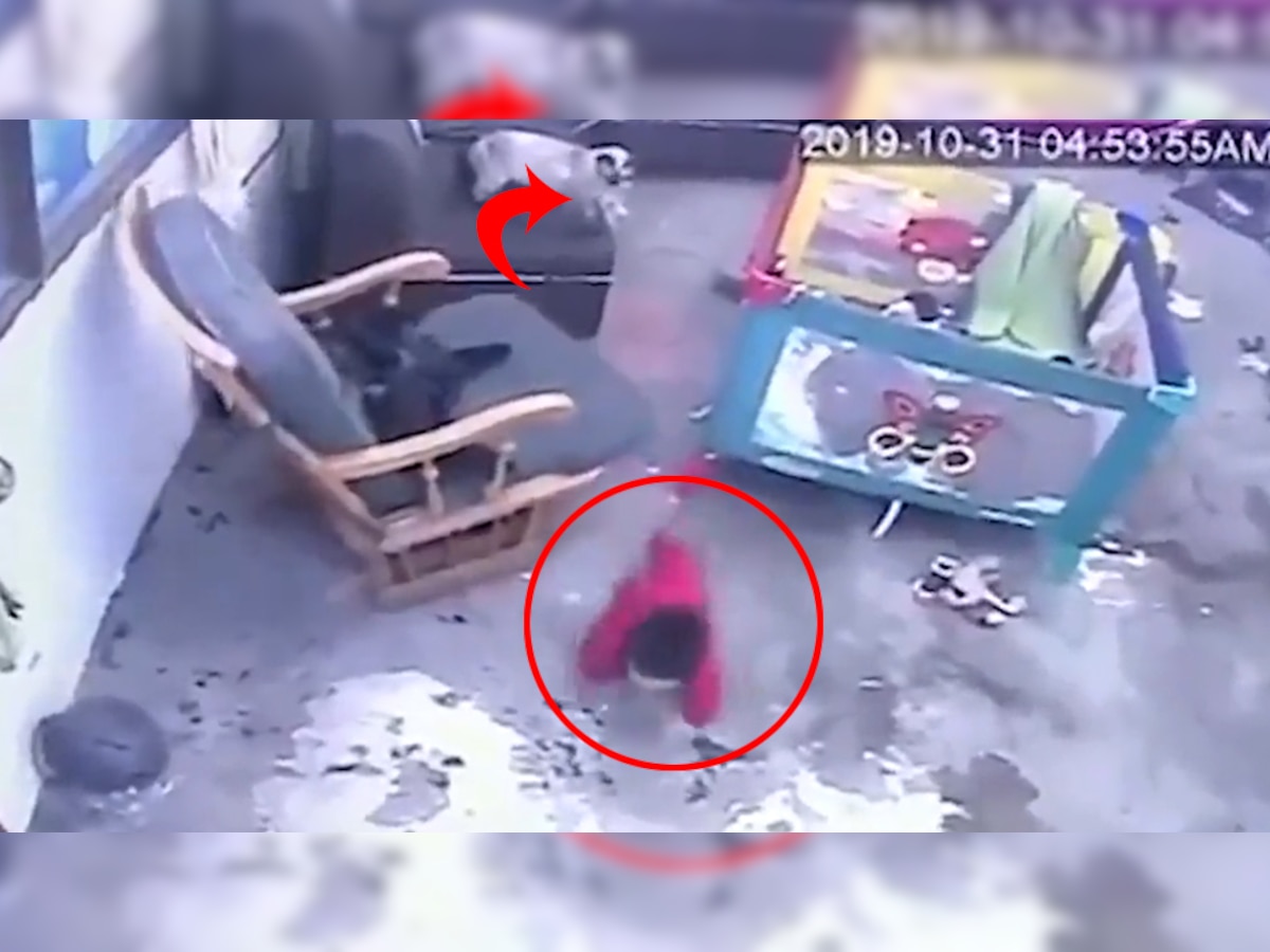 baby about to fall from the stairs cat save his life incident capture