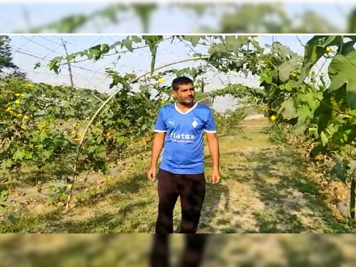 Faridabad Farmer News: फौजी न बन सके तो किसान बन चमकाई किस्मत, कॉलेजों में देते हैं व्याख्यान 