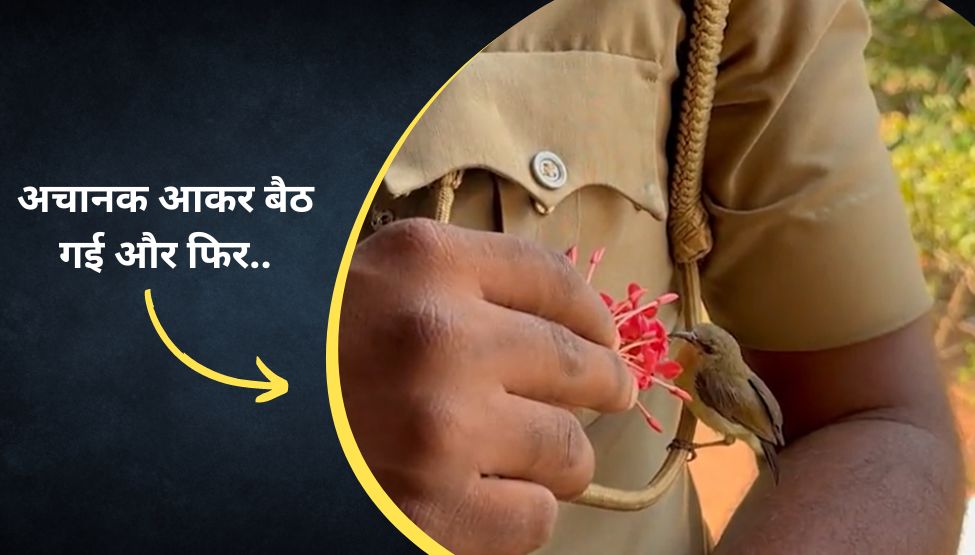 video of little bird sit upon uniform of police man viral from kerala Bird छोटी से चिड़िया
