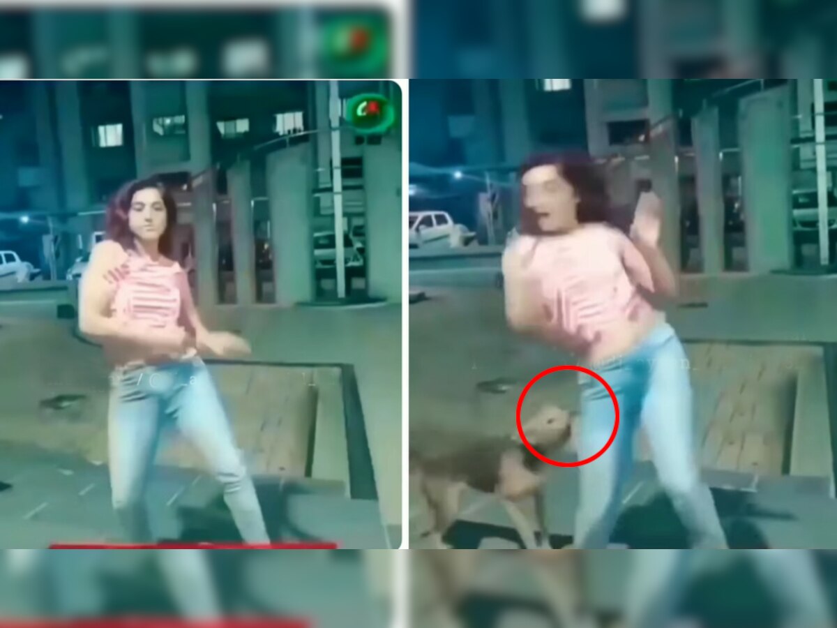 Viral Video: कुत्ते के सामने नाच रही थी 'बसंती', गुस्से में डॉग ने जो किया जिंदगीभर रखेगी याद
