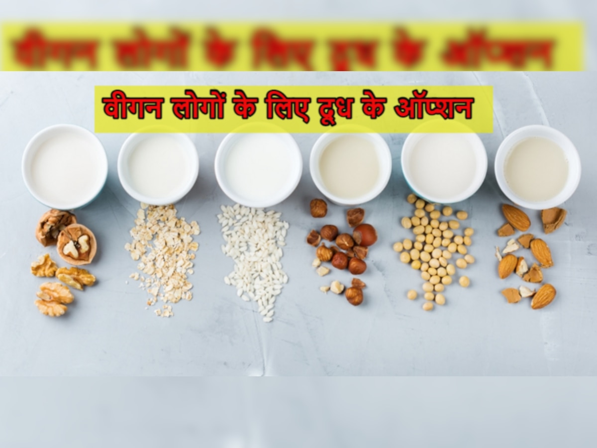 Vegan Diet वाले ध्यान दें! बॉडी में हो रही है कैल्शियम की कमी, तो दूध की जगह ट्राई करें ये मिल्क ऑल्टरनेटिव्स