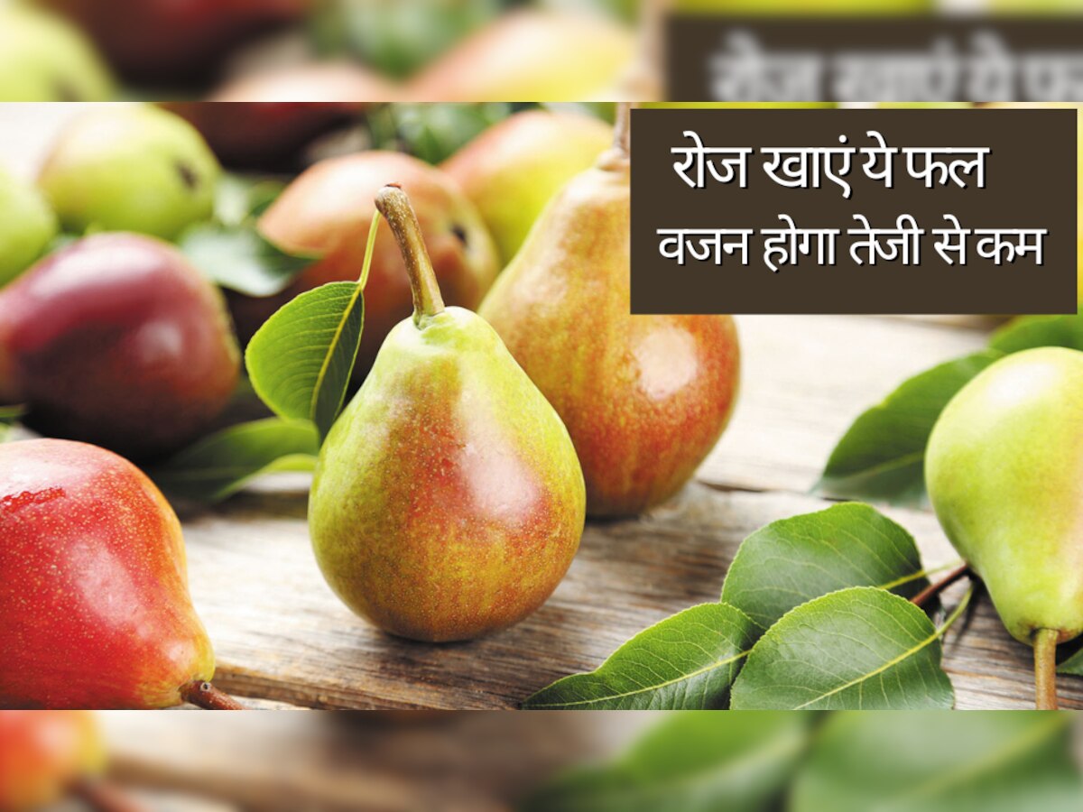 Benefits Of Pear: सिर्फ 20 रुपये में मिलेगा मोटापे से छुटकारा, इस फल को आज ही खाना कर दें शुरू