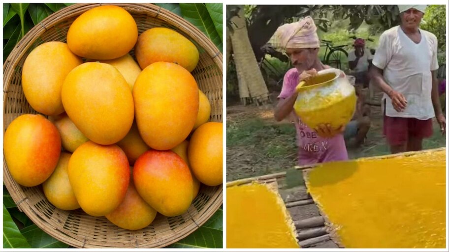 Watch: इस तरह बनता है कि आम पापड़, Video देख यूजर हुए नाराज