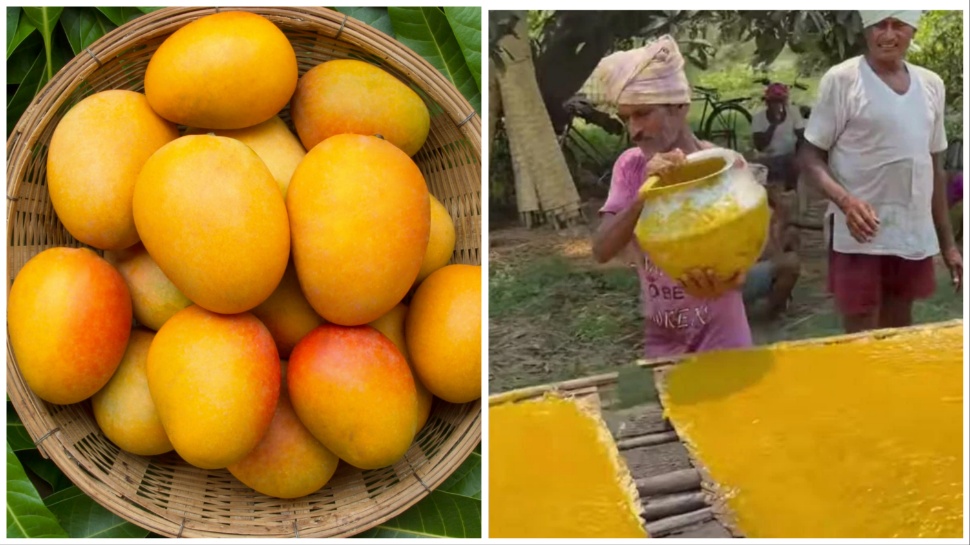 Watch: इस तरह बनता है कि आम पापड़, Video देख यूजर हुए नाराज Watch: इस तरह बनता है कि आम पापड़, Video देख यूजर हुए नाराज