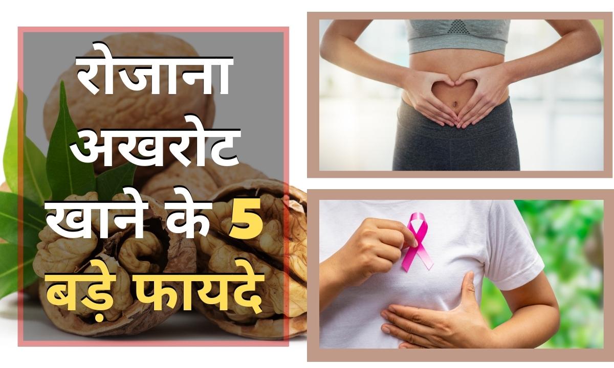 Benefits of eating walnuts from healthy guts to reducing risk of breast